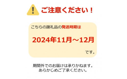 【2024年11月～12月発送】ラフランス＆ふじりんごセット約5kg_H072(R6)