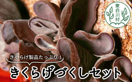 杜のきくらげづくしセット 国産 東白川村産 食物繊維 生きくらげ きくらげ 白きくらげ 白いきくらげ キクラゲ 木耳 佃煮 きくらげパウダー 18000円