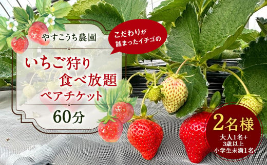 いちご狩り 食べ放題ペアチケット60分(大人1名+3歳以上小学生未満1名) 