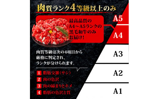 訳あり！【A4～A5】博多和牛切り落とし　500ｇ