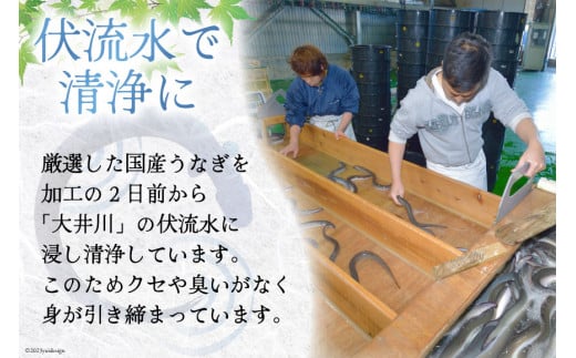 【お歳暮】 うなぎ 国産 蒲焼 肉厚 145g前後×4 真空パック タレ山椒付き [マルニうなぎ加工 静岡県 吉田町 22424360] 鰻 ウナギ 蒲焼き 化粧箱 冷凍 