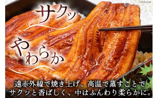 【お歳暮】 うなぎ 国産 蒲焼 肉厚 145g前後×4 真空パック タレ山椒付き [マルニうなぎ加工 静岡県 吉田町 22424360] 鰻 ウナギ 蒲焼き 化粧箱 冷凍 