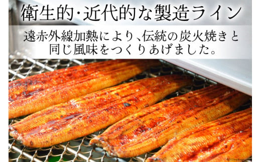 【お歳暮】 うなぎ 国産 蒲焼 肉厚 145g前後×4 真空パック タレ山椒付き [マルニうなぎ加工 静岡県 吉田町 22424360] 鰻 ウナギ 蒲焼き 化粧箱 冷凍 