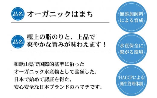 期間限定 オーガニック はまち フィレ 皮無し 約 1.9kg くら寿司 オリジナルブランド