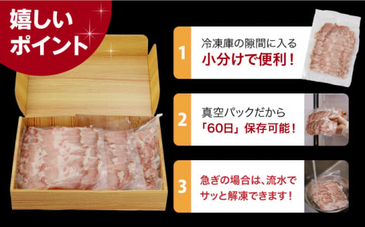 ローストポーク ろーすとぽーく ローストビーフ 国産 長崎県産 豚 豚肉 味付け 味付き 小分け 真空パック ソース 冷凍