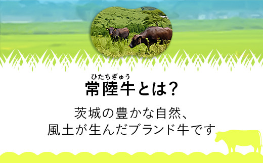 206茨城県産黒毛和牛「常陸牛ビーフカレー」（200g×6パック）