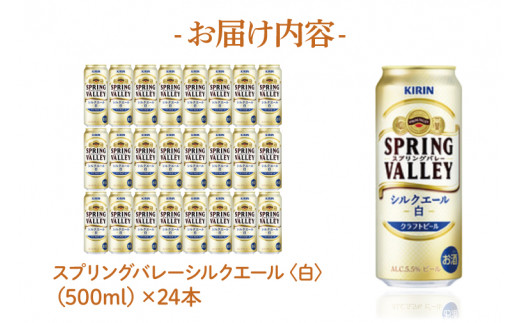 AB005-1　キリンビール取手工場産スプリングバレーシルクエール〈白〉500ml×24本