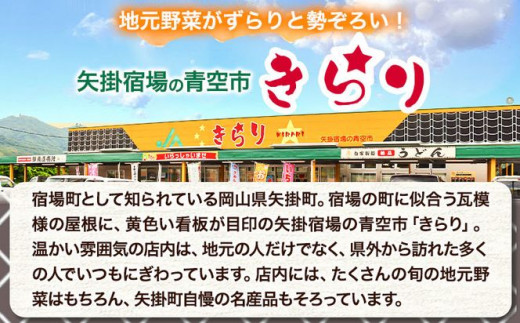 210.【6ヶ月定期便】旬の新鮮野菜とお米詰め合わせセット 野菜5～10品目入 青空市きらり《お申込み月の翌月から出荷開始》岡山県 矢掛町 野菜 野菜詰め合わせ 米 米3kg トマト きゅうり アスパラガス 玉ねぎ リーキ 送料無料