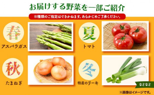 210.【6ヶ月定期便】旬の新鮮野菜とお米詰め合わせセット 野菜5～10品目入 青空市きらり《お申込み月の翌月から出荷開始》岡山県 矢掛町 野菜 野菜詰め合わせ 米 米3kg トマト きゅうり アスパラガス 玉ねぎ リーキ 送料無料