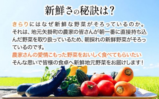 210.【6ヶ月定期便】旬の新鮮野菜とお米詰め合わせセット 野菜5～10品目入 青空市きらり《お申込み月の翌月から出荷開始》岡山県 矢掛町 野菜 野菜詰め合わせ 米 米3kg トマト きゅうり アスパラガス 玉ねぎ リーキ 送料無料