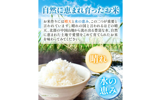 210.【6ヶ月定期便】旬の新鮮野菜とお米詰め合わせセット 野菜5～10品目入 青空市きらり《お申込み月の翌月から出荷開始》岡山県 矢掛町 野菜 野菜詰め合わせ 米 米3kg トマト きゅうり アスパラガス 玉ねぎ リーキ 送料無料