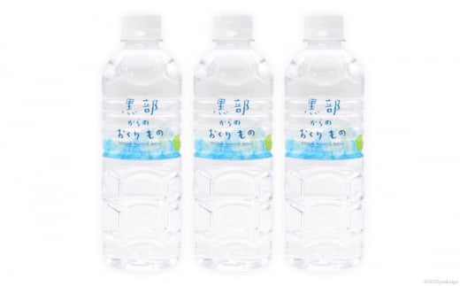 [№5313-0416]【合計576本】定期便 黒部からのおくりもの 500ml×24本×2ケース×12回 総計288L 名水百選 黒部の名水 防災 アウトドア ペットボトル 飲料水 ミネラルウォーター 2個口配送/IAC/富山県 黒部市