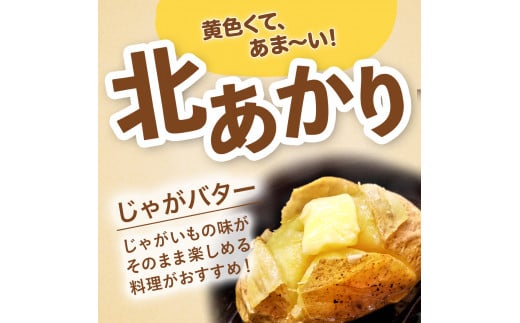 【期間限定】じゃがいも (北あかり) 10kg サイズいろいろ バラバラ 野菜 ジャガイモ ポテト キタアカリ きたあかり 訳あり 岩手県 金ケ崎町