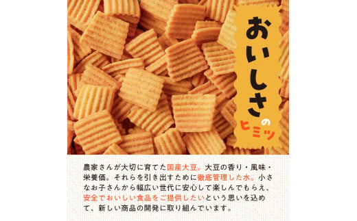 おからのお菓子　140g×12袋　国産　大豆　揚げ菓子