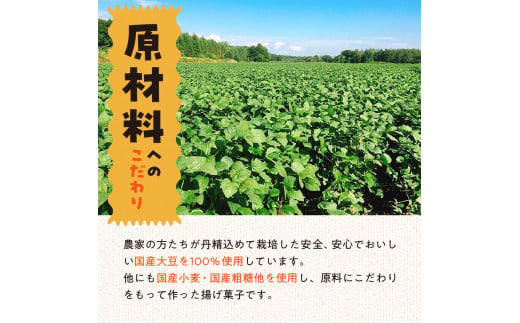 おからのお菓子　140g×12袋　国産　大豆　揚げ菓子