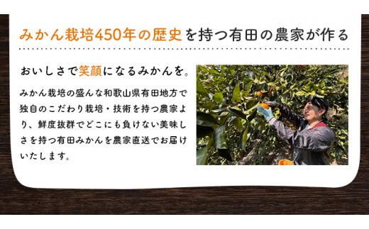 【1月発送】有田育ちのご家庭用完熟 有田みかん 4kg＋300g【ard194A-3】