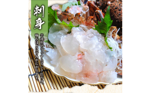 沖永良部島産 伊勢海老 約1kg（2～3尾）　C041-002