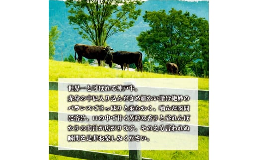 ★選べる配送月★[4月発送]神戸牛サーロインステーキ(200g×5枚)《 自社牧場直送 神戸牛 肉のヒライ サーロインステーキ 1キロ 焼肉 加古川和牛 サーロイン 》【2412A00105-04】