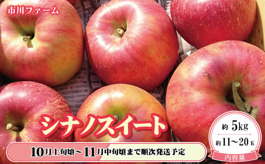 [No.5657-2633]ジューシーかつ爽やかな甘さ！人気のシナノスイート約5kg（約11～20玉）《市川ファーム》■2024年発送■※10月上旬頃～11月中旬頃まで順次発送予定