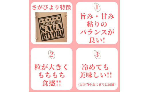 CI744【みやきなでしこ】応援米【５回定期便】さがびより白米６kg（３kg×２袋）佐賀県産 精米 女子サッカー応援