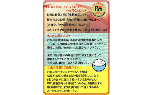 CI744【みやきなでしこ】応援米【５回定期便】さがびより白米６kg（３kg×２袋）佐賀県産 精米 女子サッカー応援