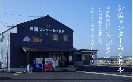 【先行予約】ブランドタグ付高級ボイル松葉ガニ（特大約1kgを1枚）OM-25 タグ付き 松葉ガニ 松葉がに かに 蟹 カニ 鳥取県境港 御来屋漁港