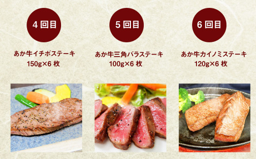 【定期便年12回】あか牛 ステーキ 極上 食べ比べ ステーキ 12種 和牛 牛肉