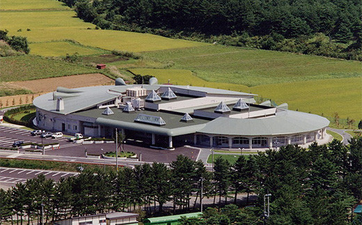 【平内いきいき健康館 よごしやま温泉】大人(12歳以上)入館・入浴料回数券12枚綴り F21J-149