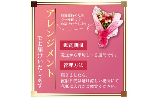 バラ フラワーアレンジメント 15本 色 おまかせ ミックス ギフト用 フラワー 花 ブーケ 薔薇 新鮮 ばら 高品質 綺麗 おもてなし ご褒美 花束 フラワーアレンジメント 草花 誕生日 記念日 母の日 父の日 敬老の日 プロポーズ 結婚祝い 結婚式 ギフト プレゼント お祝い 贈り物 贈答 インテリア おしゃれ かわいい 雑貨 飾り 鑑賞 旬 植物 春夏秋冬 季節 自宅用 