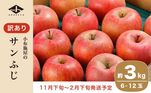 【訳あり】 サンふじ 約3kg 6～12玉 ［小布施屋］ りんご 林檎 リンゴ 不揃い 規格外 果物 フルーツ 生産者応援 支援 家庭用  令和6年産 【2024年11月下旬～2025年2月下旬発送】 ［B-71］