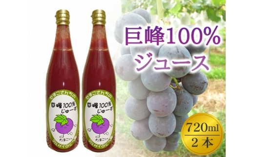 No.003 巨峰100％ジュース　720ml×2本 ／ 飲み物 葡萄ジュース ブドウジュース 千葉県