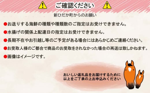 北海道産 旬 の お魚 4～5種 お魚 魚 旬の魚 お楽しみ セット 詰め合わせ