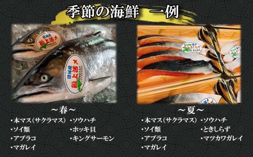 北海道産 旬 の お魚 4～5種 お魚 魚 旬の魚 お楽しみ セット 詰め合わせ