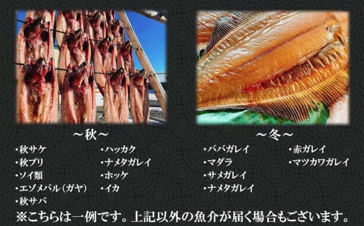 北海道産 旬 の お魚 4～5種 お魚 魚 旬の魚 お楽しみ セット 詰め合わせ