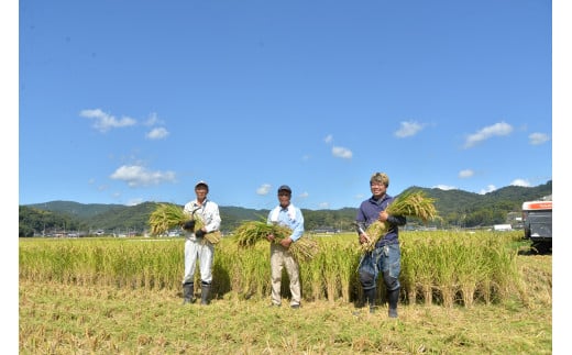 【定期便】令和6年産＜無洗米＞総社市産きぬむすめ　20kg〔6回配送〕24-210-002