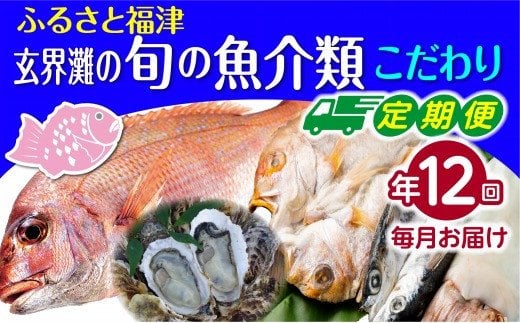 【年12回毎月】福津の旬の魚介類こだわり定期便【随時開始】[F7017]