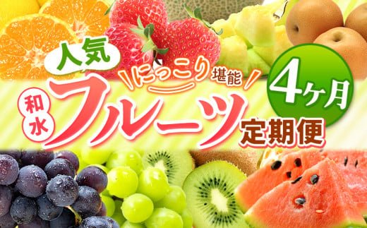 【 定期便 4回 】 ニッコリ 堪能 ！ 人気 フルーツ ご家庭用  熊本県なごみ町 | 熊本県 熊本 くまもと 和水町 なごみ フルーツ 果物 いちご みかん 不知火 スイカ メロン イエローキング 肥後グリーン キウイ ぶどう シャインマスカット 梨 柿 厳選 旬 定期 定期便