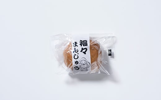 【森町銘菓】七福堂の銘菓詰め合わせセット《七福堂》 森町 お菓子 和菓子 パイ あんこ 餡子 饅頭 どら焼き 詰め合わせセット ふるさと納税 北海道 mr1-0053