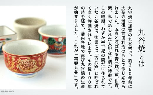 九谷焼「古九谷意 葦雁図 8号皿」浮田 健剛 お皿 伝統 工芸品