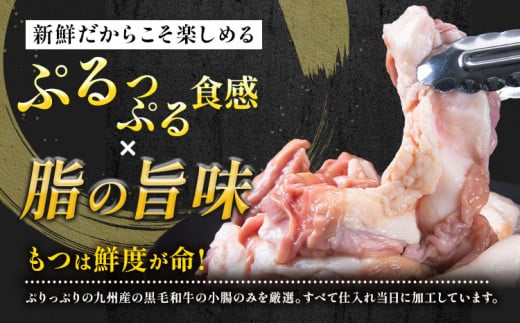 1本もつ鍋 (醤油味) 厚腸編 1kg 入り《30日以内に出荷予定(土日祝除く)》もつ もつ鍋 醤油味 鍋 セット 詰め合わせ 牛 牛もつ 送料無料