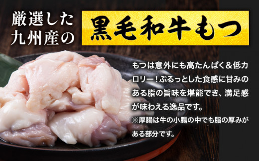 1本もつ鍋 (醤油味) 厚腸編 1kg 入り《30日以内に出荷予定(土日祝除く)》もつ もつ鍋 醤油味 鍋 セット 詰め合わせ 牛 牛もつ 送料無料