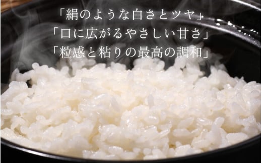 【福井のブランド米】【令和6年産】【特A獲得】いちほまれ 無洗米 2kg × 1袋