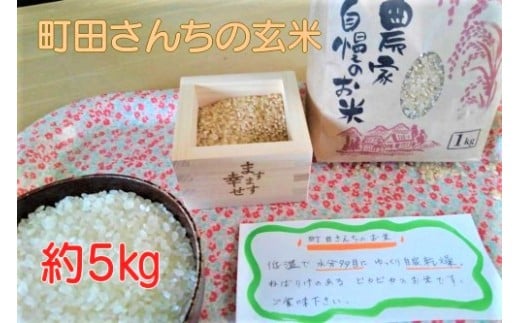 [1345]【令和6年度収穫分】コシヒカリ（玄米）5kg×6回【6カ月定期便】 ※沖縄および離島への配送不可　※2024年10月上旬頃から順次発送予定　町田さんちの玄米　長野県飯綱町