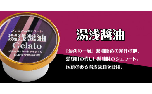 プレミアムジェラート 湯浅醤油12個セット アイスクリームセット 100mlカップ ゆあさジェラートラボラトリー【kstb700-05】