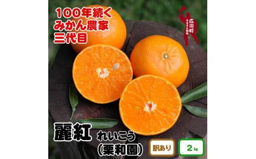 ▼和歌山県有田産【香り高い柑橘】麗紅 約2kg (訳あり) ※2月中旬頃～3月下旬頃順次発送 【krw012-c-2】