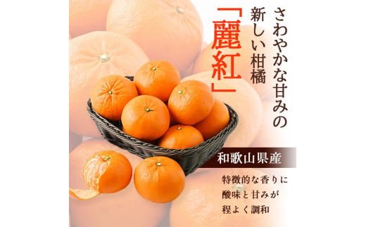 ▼和歌山県有田産【香り高い柑橘】麗紅 約2kg (訳あり) ※2月中旬頃～3月下旬頃順次発送 【krw012-c-2】