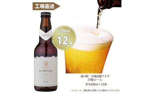 IPA　12本セット【1446343】