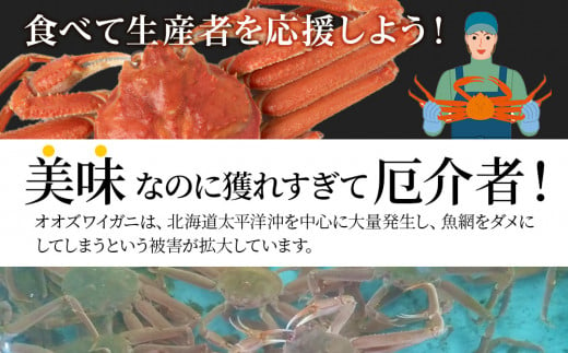 北海道産 大ズワイ 300g～350g ×4尾 ＜斉藤水産＞ オオズワイ 蟹 かに カニ ボイル