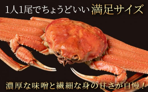 北海道産 大ズワイ 300g～350g ×4尾 ＜斉藤水産＞ オオズワイ 蟹 かに カニ ボイル