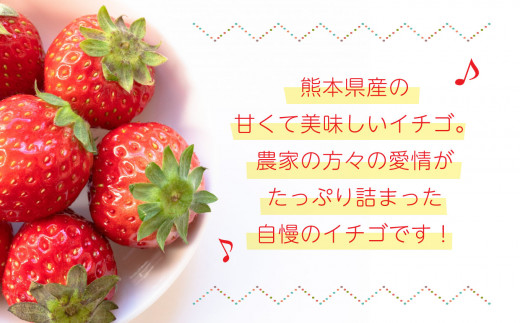 いちご 熊本県 いちご 1kg (250g×4パック)  | 熊本県 熊本 くまもと 和水町 なごみ イチゴ 苺 250g 4パック 1000g
